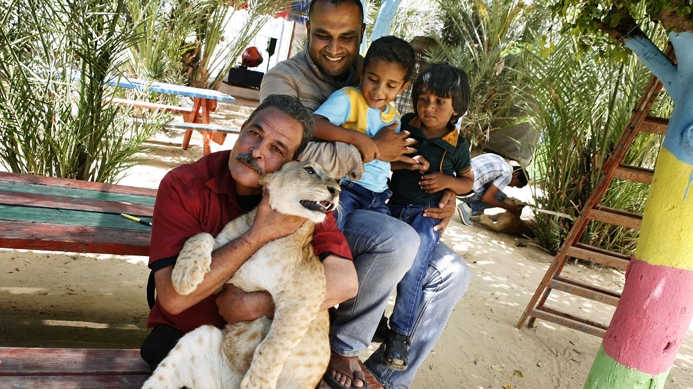Rafah Zoo was unable to maintain the cost of keeping its lion cubs and sold them to a family in Gaza [Silvia Boarini/Al Jazeera]