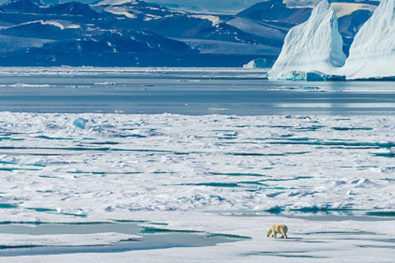 A polar bear wanders across the ice floes in the Canadian Arctic [Getty]