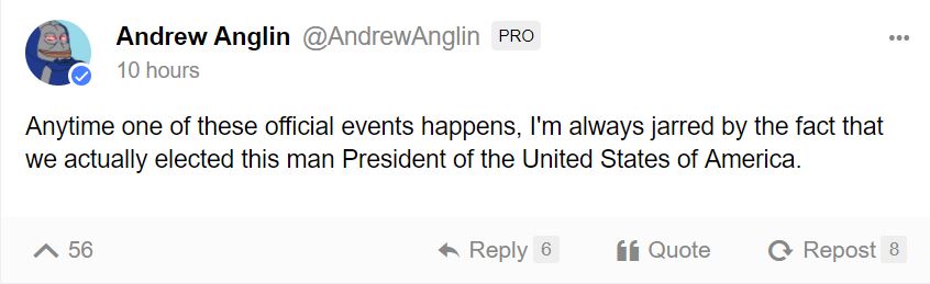 Neo-Nazi Andrew Anglin bragged of his movement's role in electing Trump [Screenshot] 