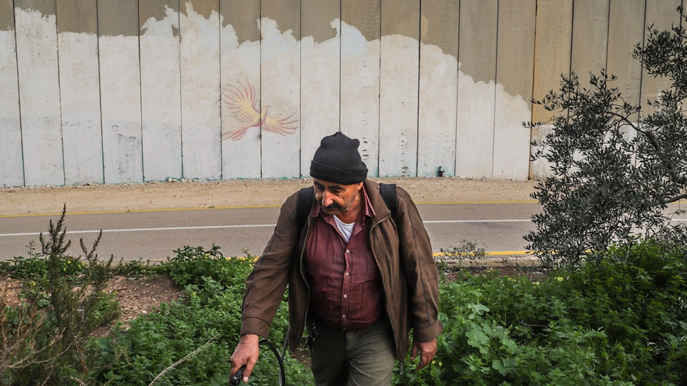 Hani Amer tends to his small garden in Mas'ha village, with the separation wall at the back [Jaclynn Ashly/Al Jazeera]
