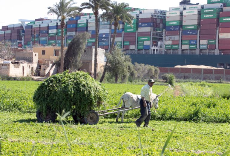 A man walks in a field in view of the Ever Given container ship in the Suez Canal