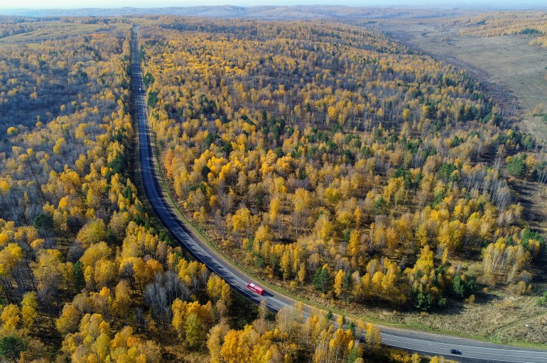 An aerial view of vehicles drive along the "Yenisei" highway across taiga in autumn foliage in the Krasnoyarsk region, Siberia, Russia.