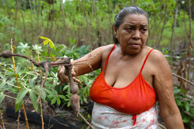 A woman in a tank top holds up a cassava root pulled from the farmland around her.