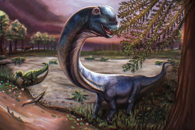 This handout illustration by Patchanop Boonsai released on May 14, 2026 shows the artist's impression of the Cretaceous period sauropod dinosaur Nagatitan chaiyaphumensis.