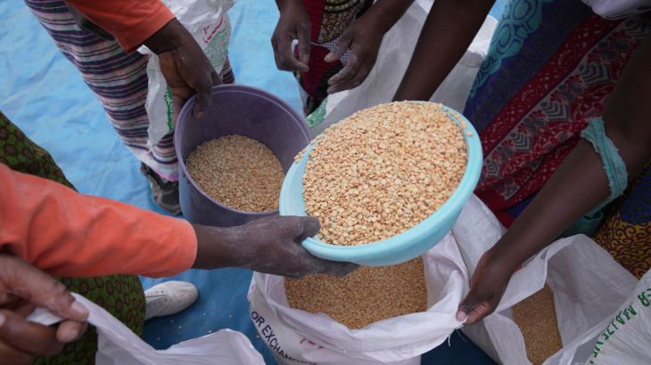 How can we reduce global food insecurity?
